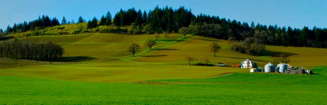 Field