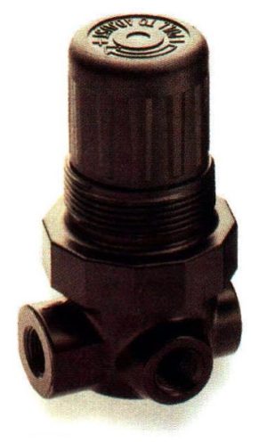 Air Regulator - R07 100 RNEA
